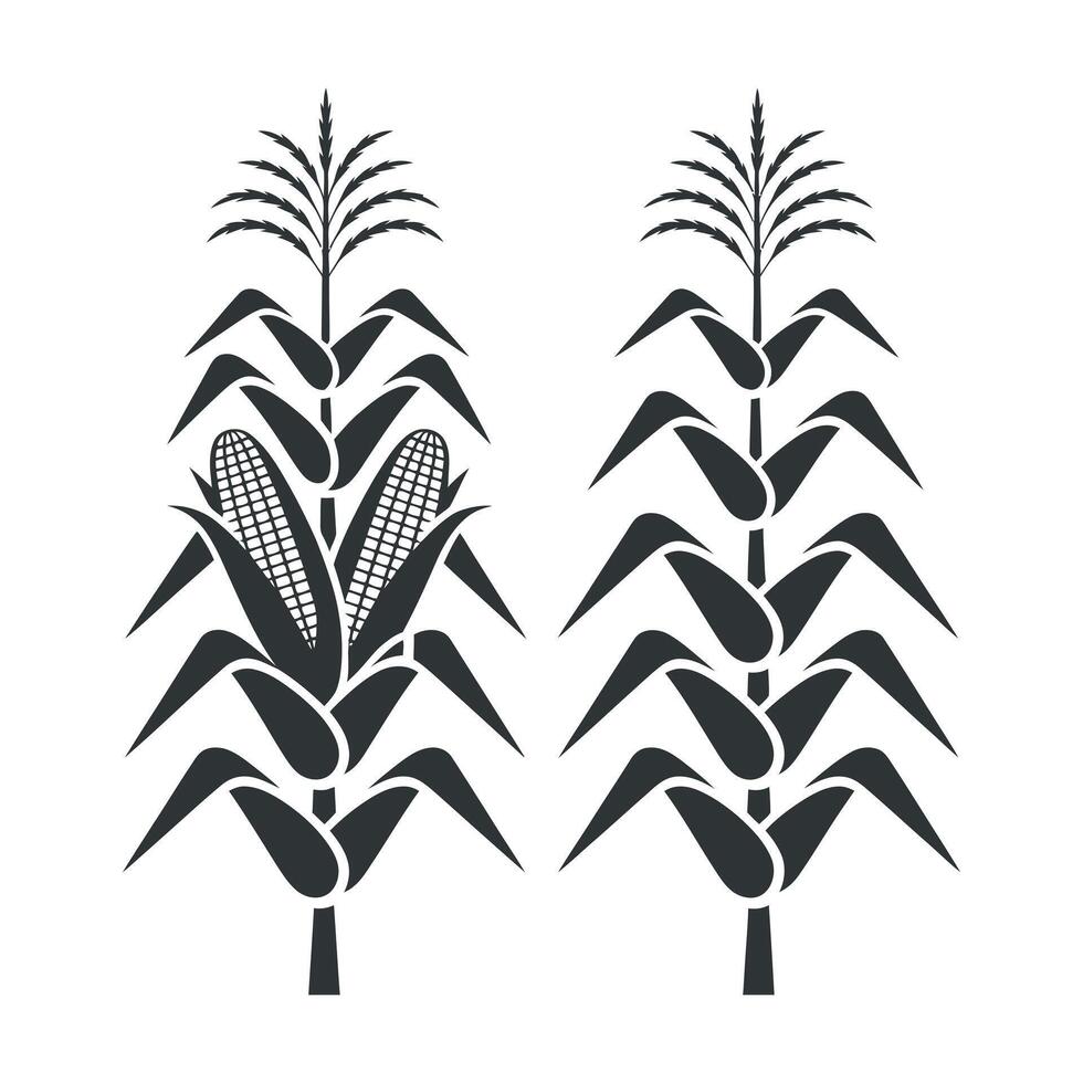 Two Stylized Corn Plants Silhouette Design vector