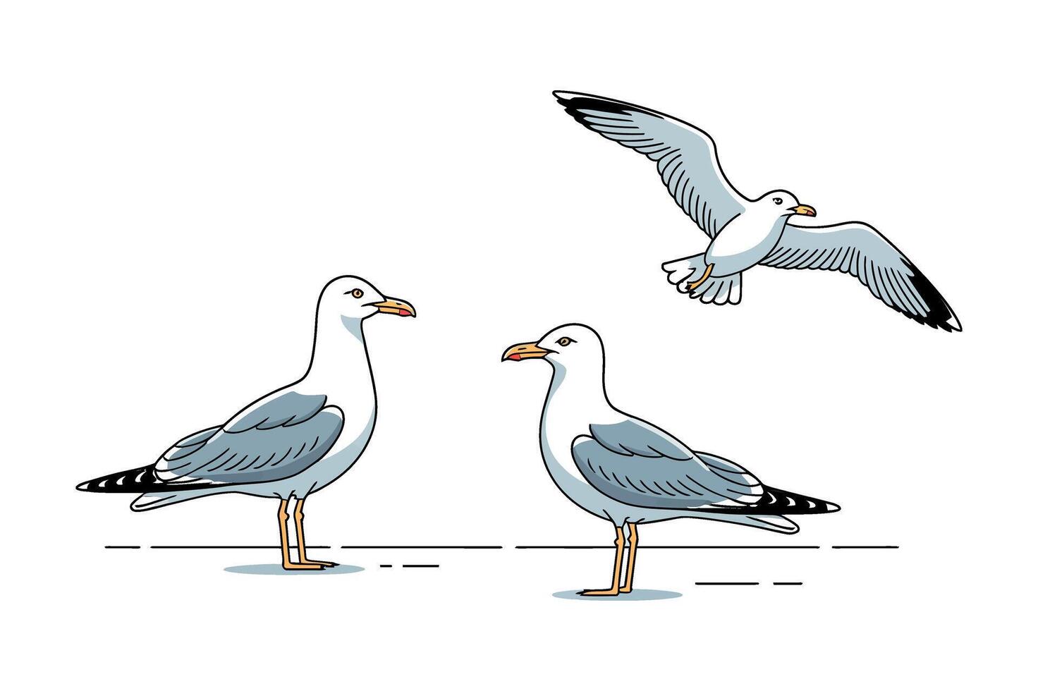 Three stylized seagulls in various poses against a white background vector