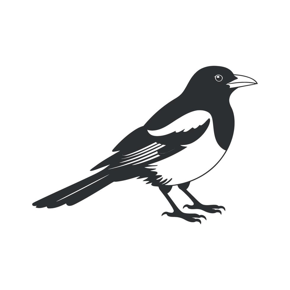 Black and white silhouette of a magpie bird vector