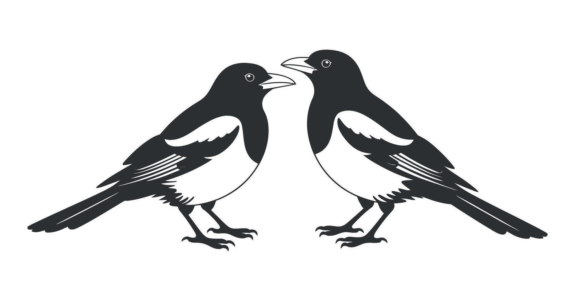 Two magpie birds in black and white silhouette design vector