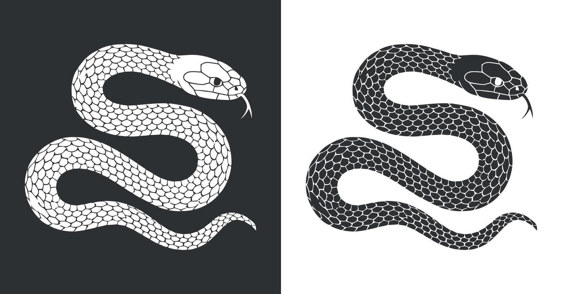 Snake Illustration in Black and White with Detailed Scales vector