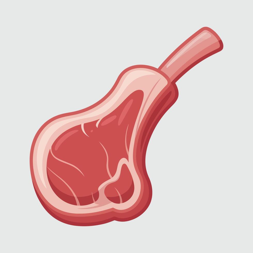 Cartoon Illustration of a Fresh Cut of Lamb Ribs vector