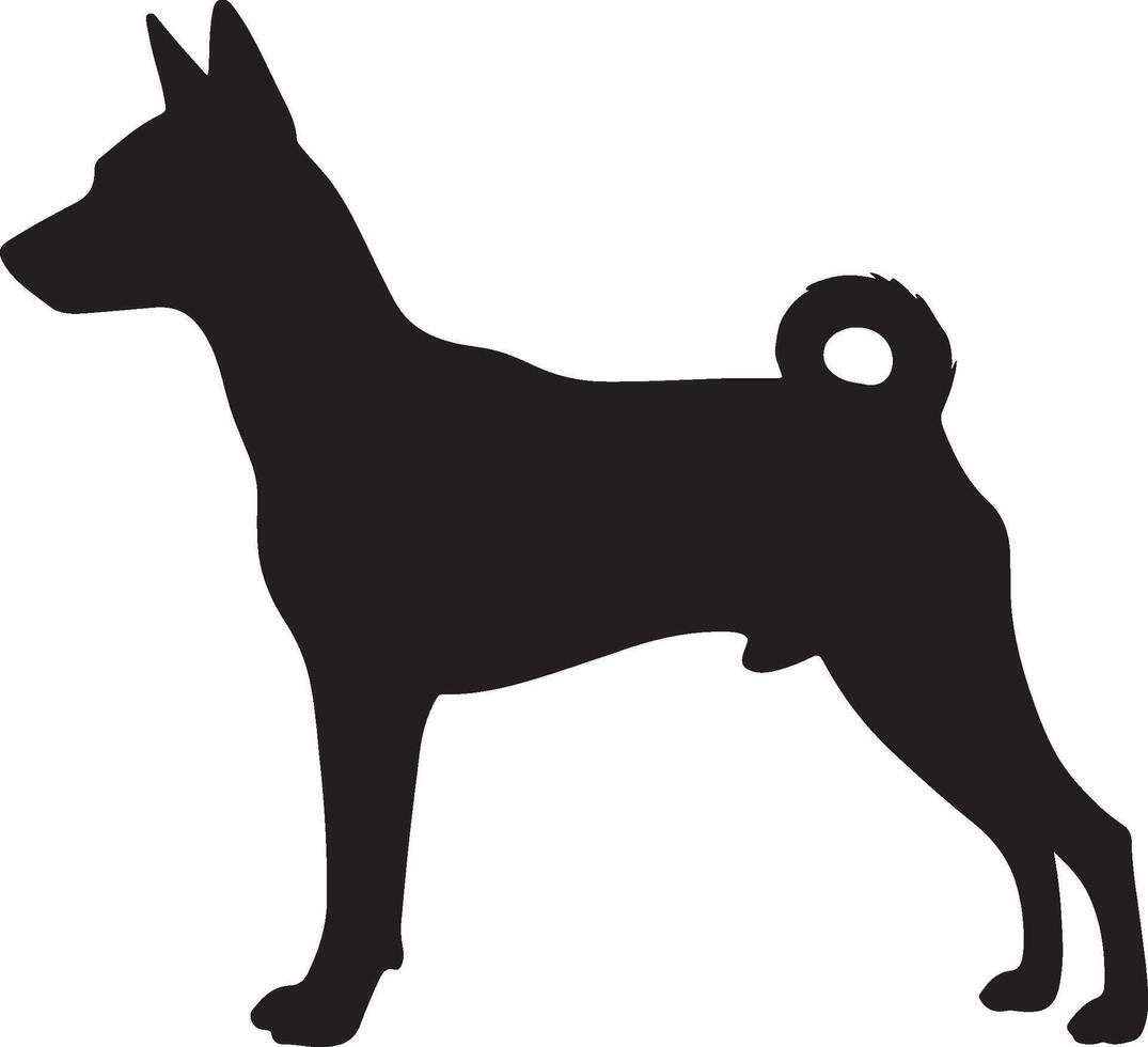 Basenji Dog solid black silhouette vector