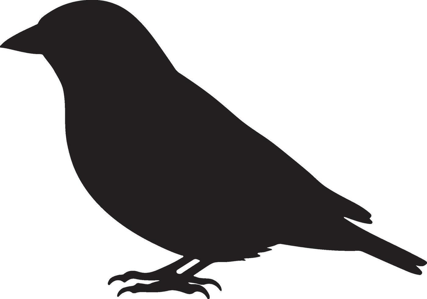Brambling solid black silhouette vector