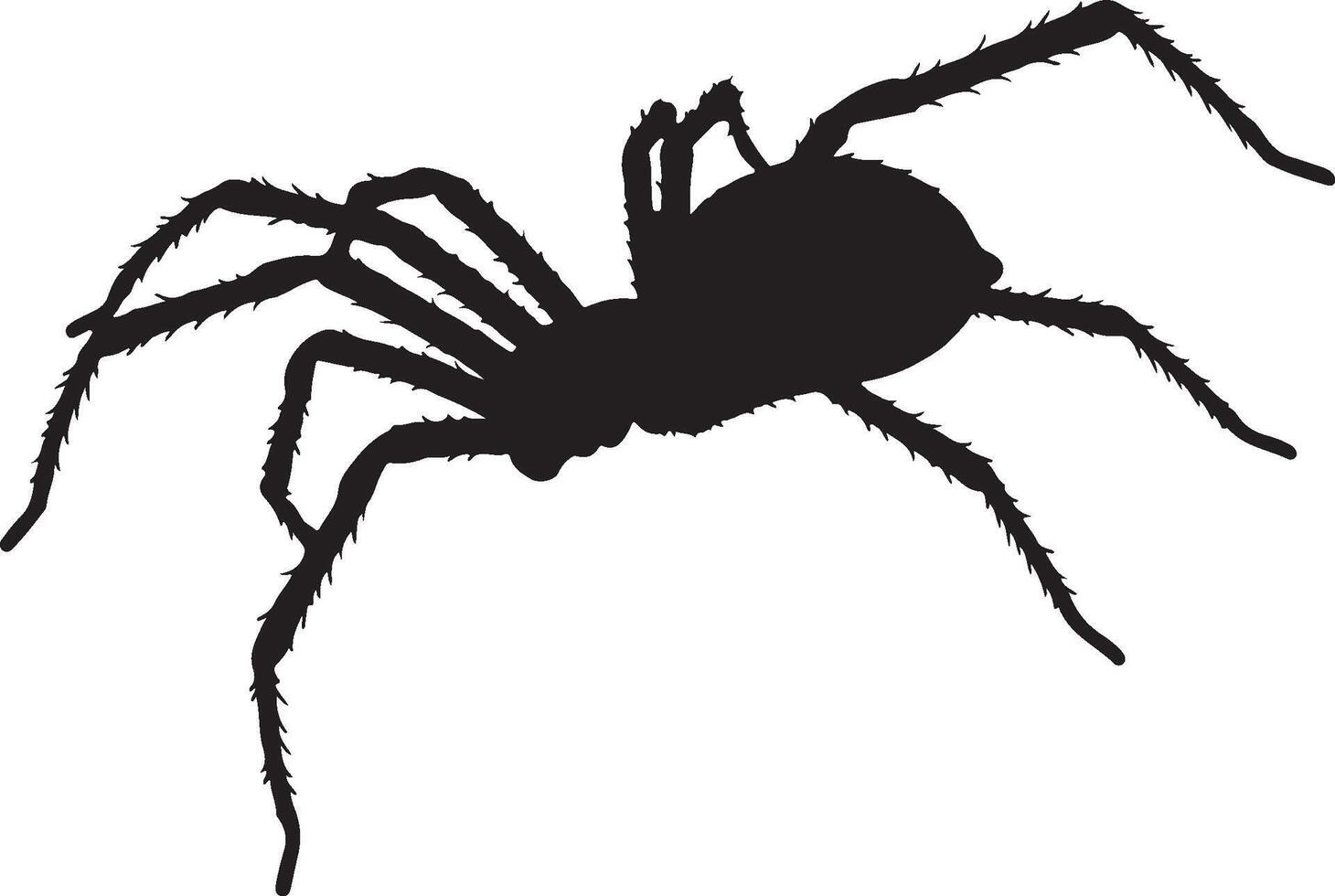 Banana Spider solid black silhouette vector