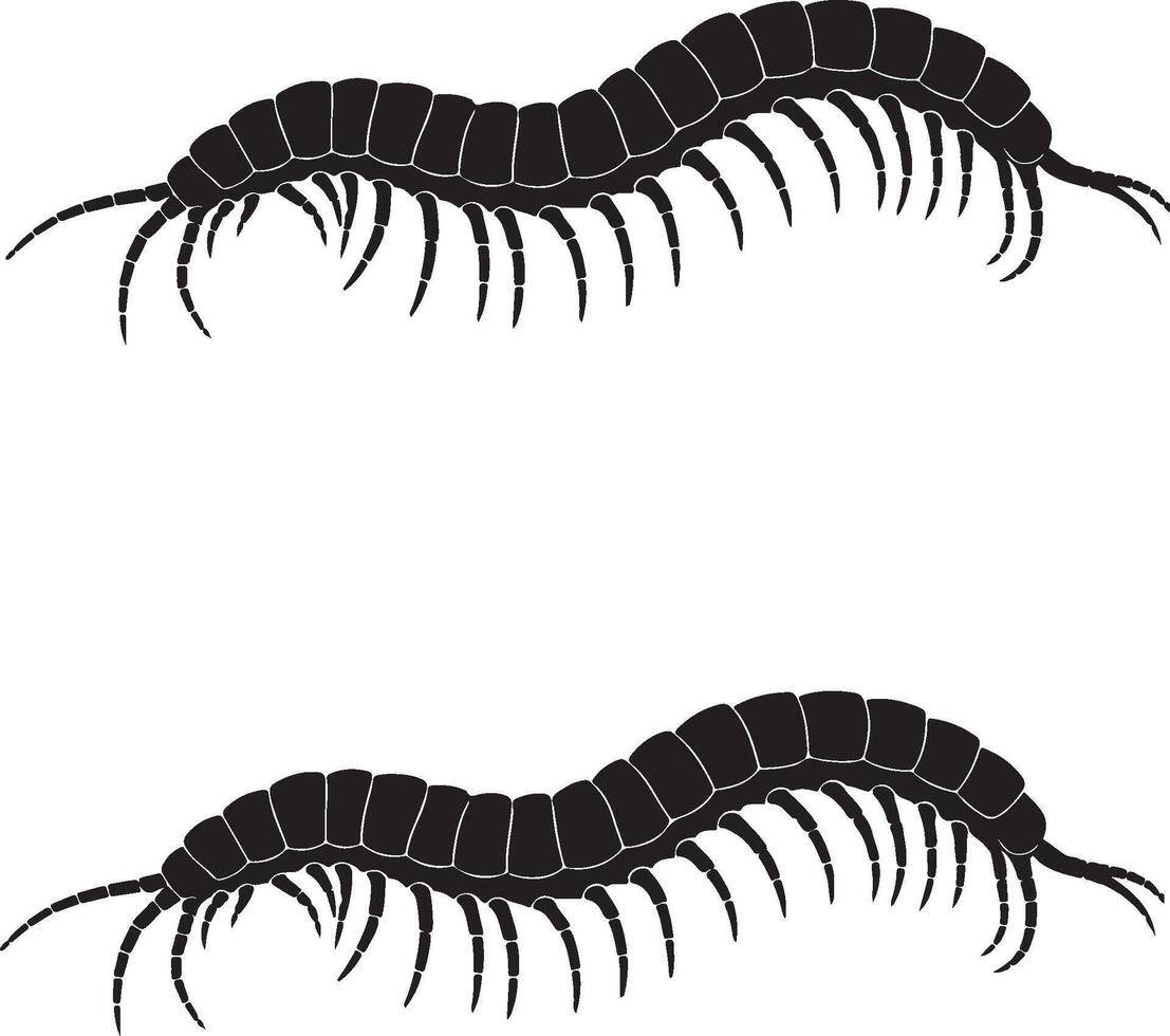 Centipede solid black silhouette vector