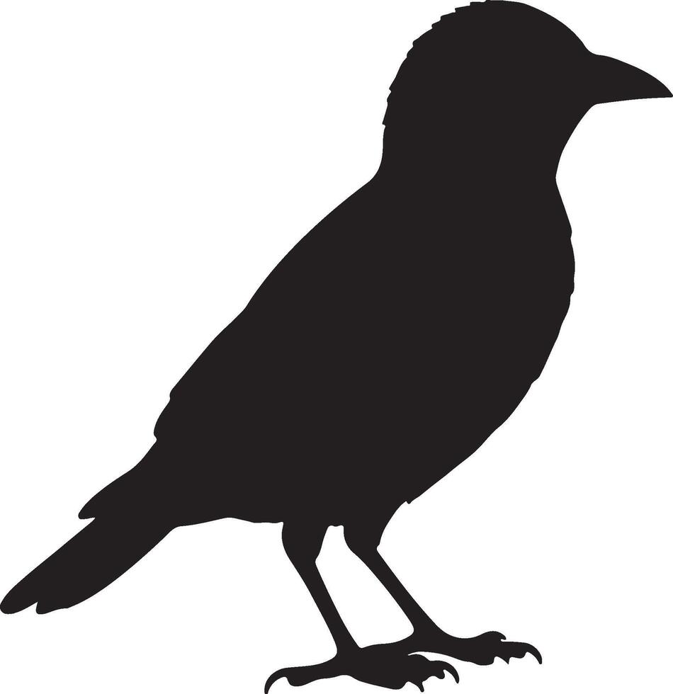 Bobolink solid black silhouette vector
