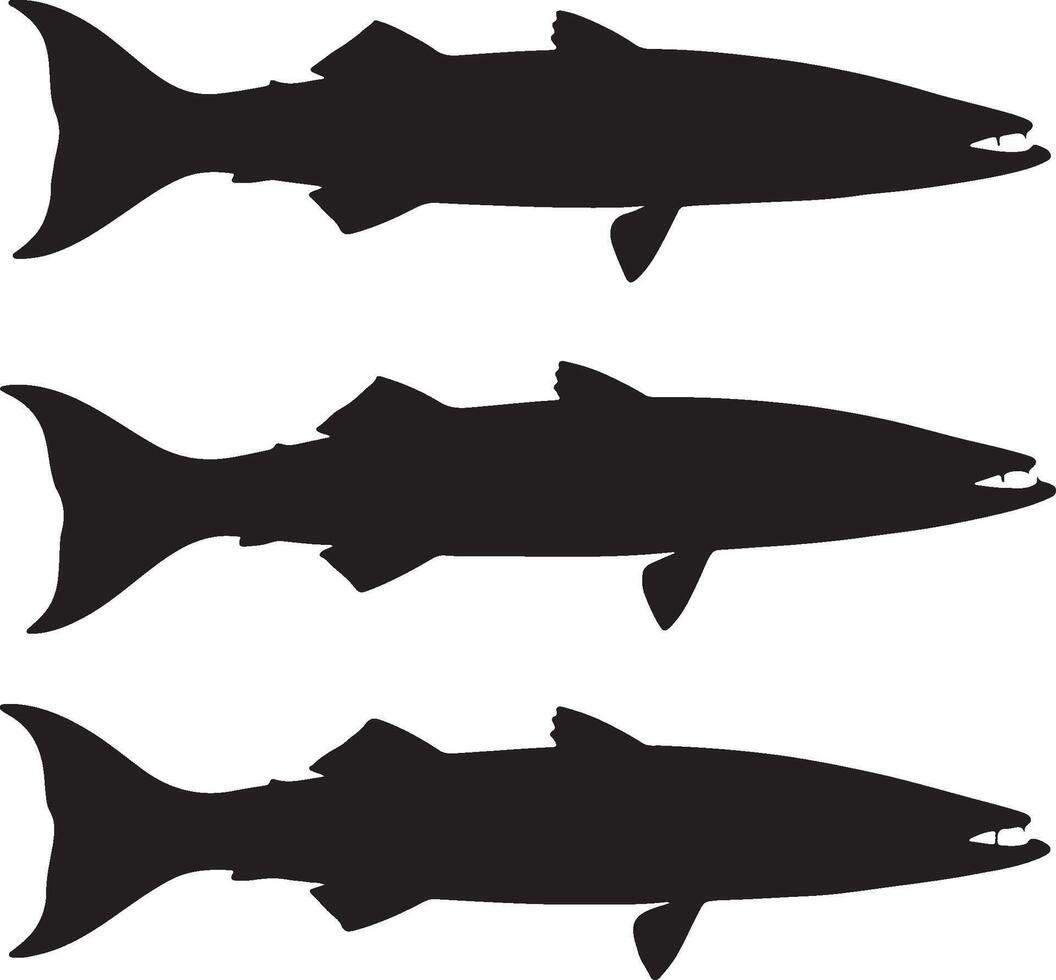 Barracuda solid black silhouete vector
