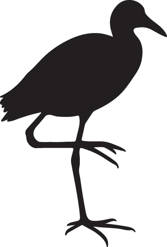 African Jacana solid black silhouette vector
