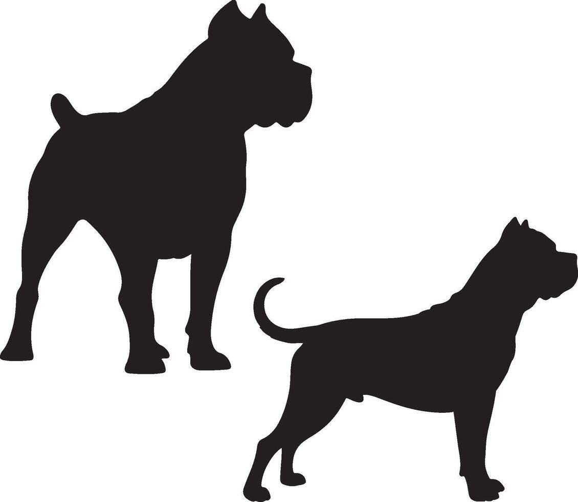 Cane Corso solid black silhouette vector
