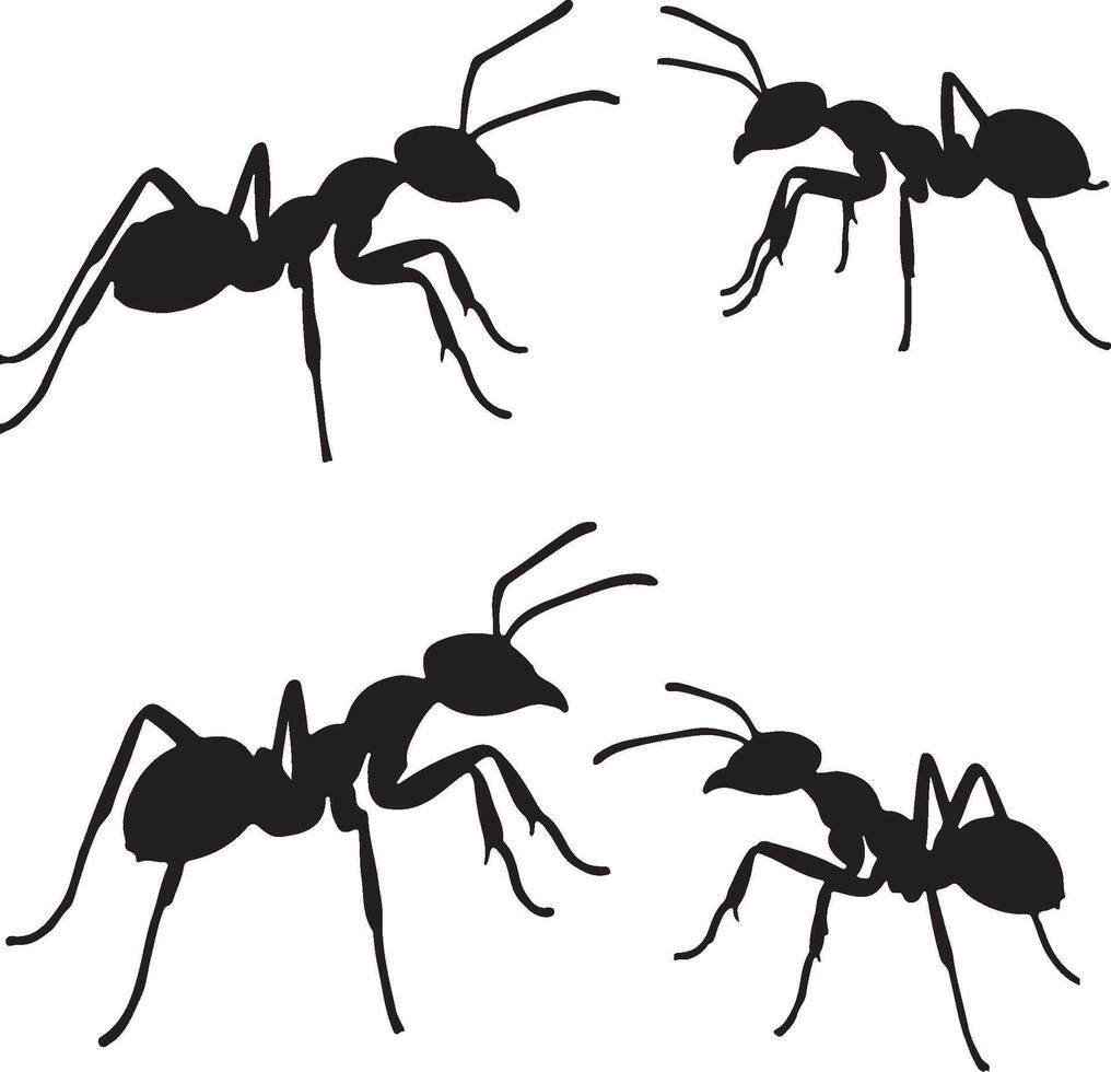 Army Ant solid black silhouette vector