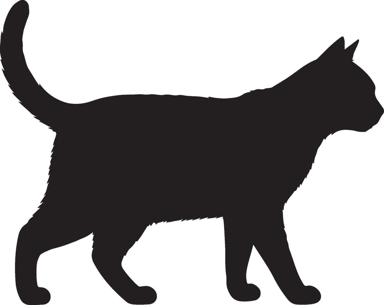 Bay Cat solid black silhouette vector