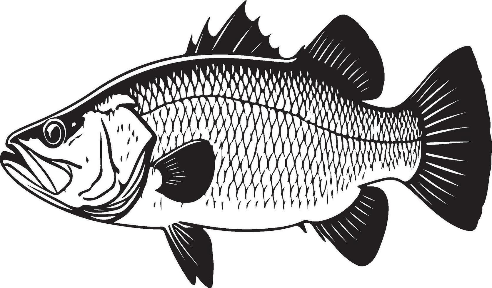 Barramundi solid black silhouette vector