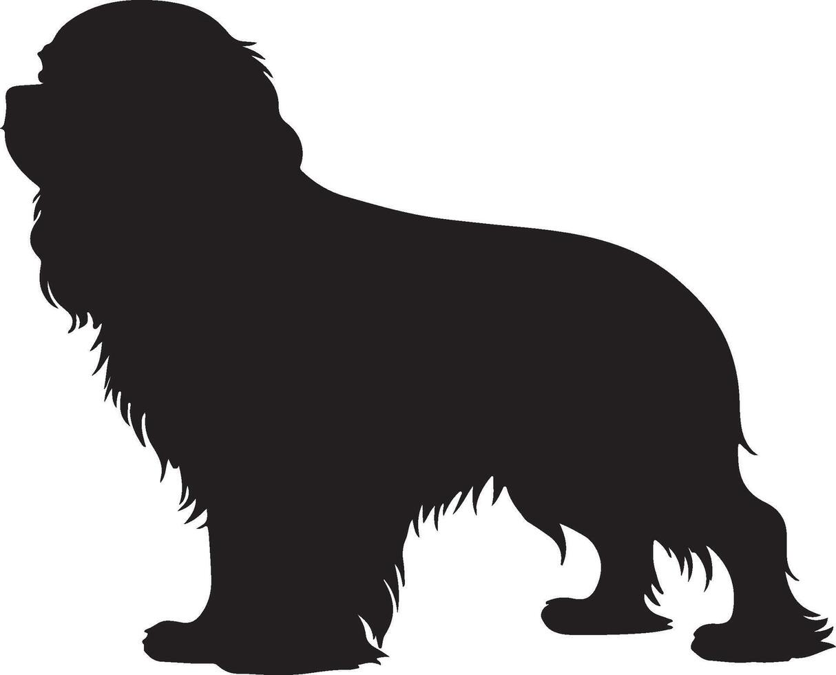 Cavalier King Charles Spaniel solid black vector