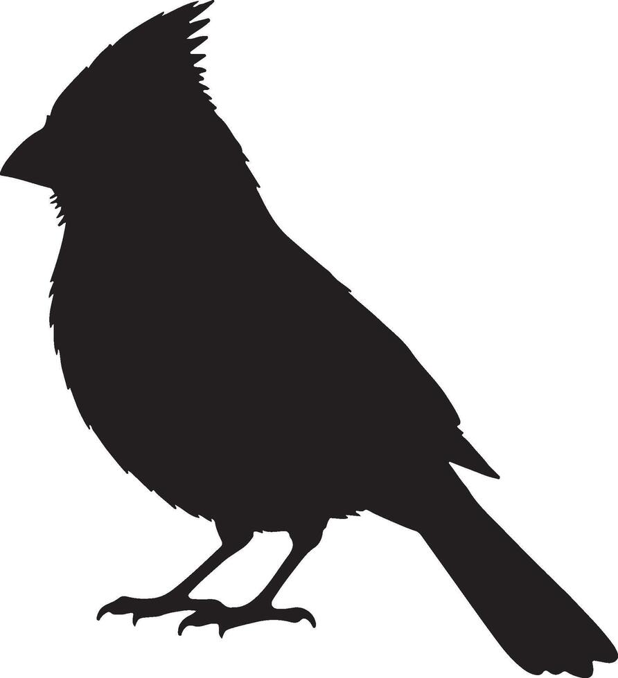 Cardinal solid black silhouette vector