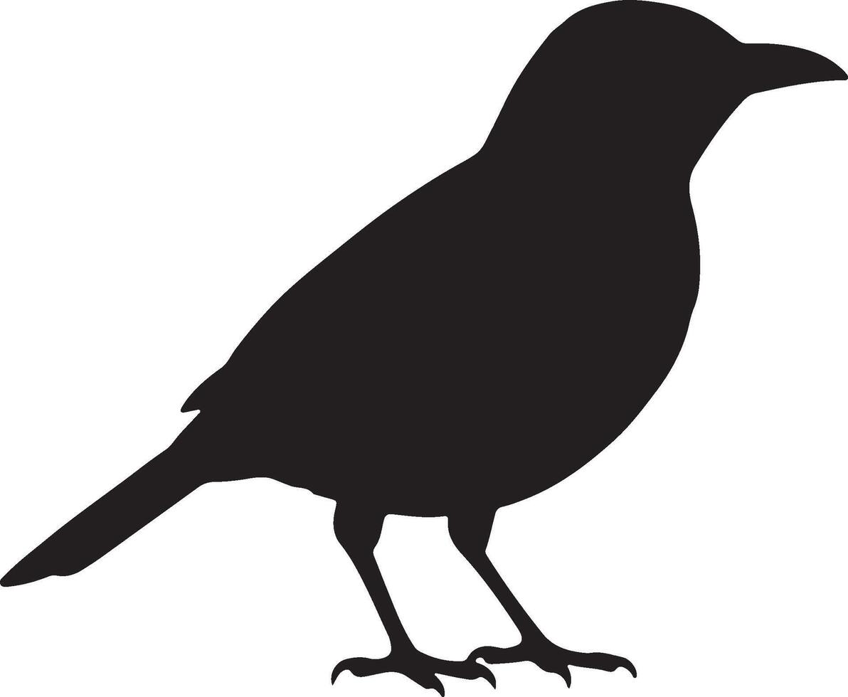 Catbird solid black silhouette vector