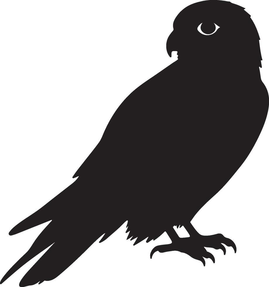 American Kestrel solid black silhouette vector