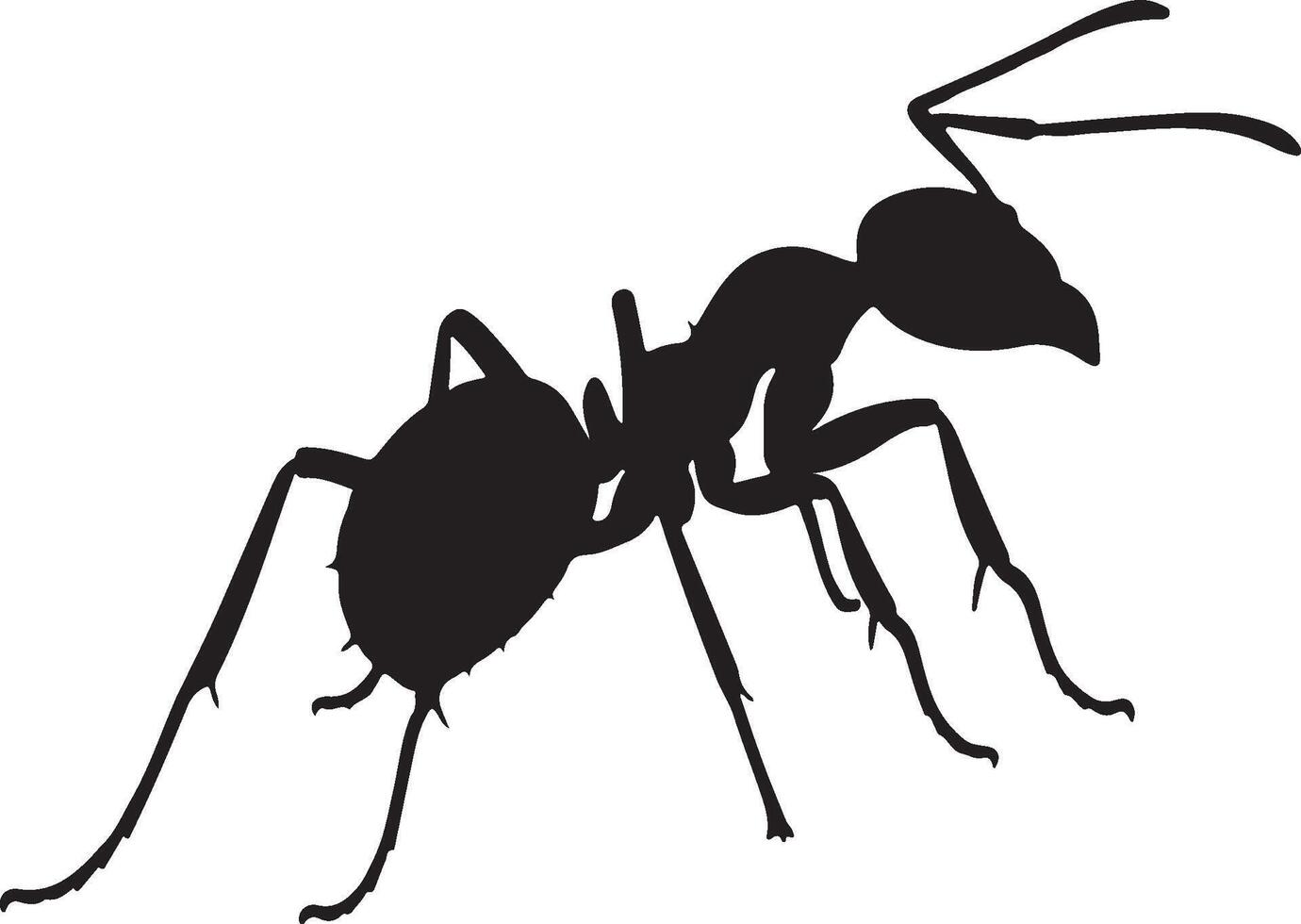 Bullet Ant solid black silhouette vector