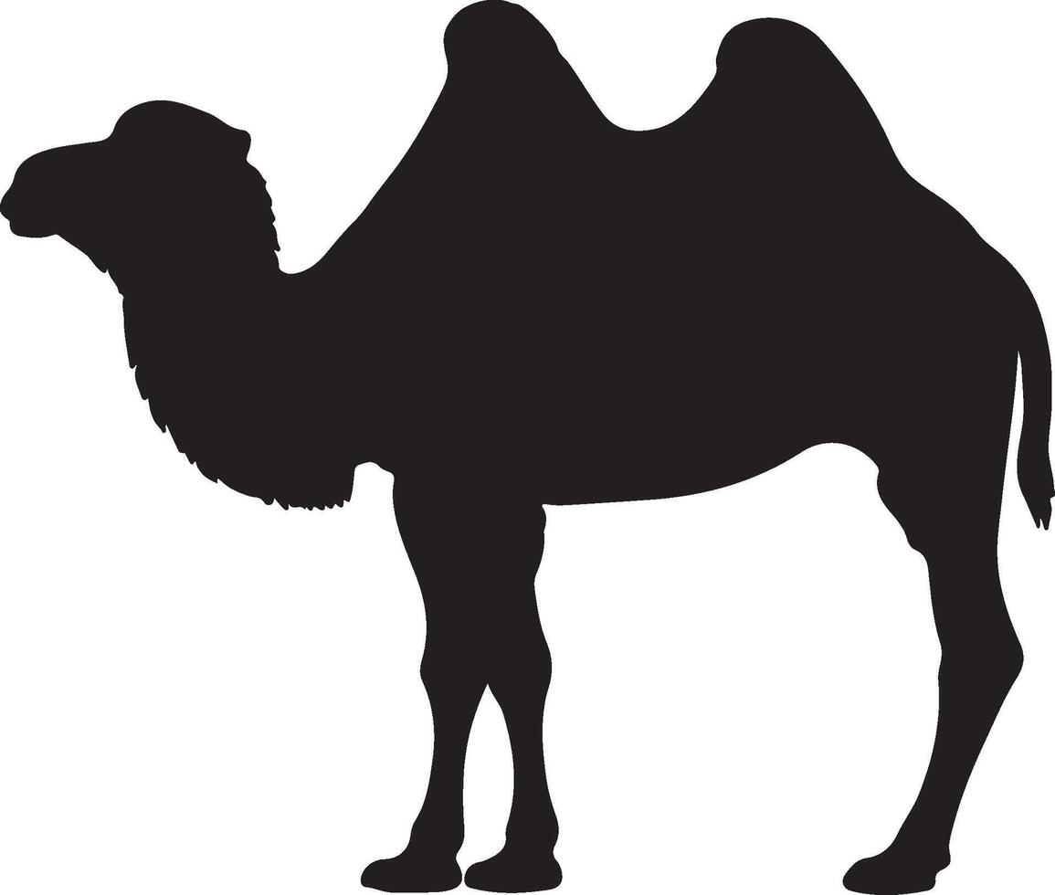 Bactrian Camel solid black silhouette vector