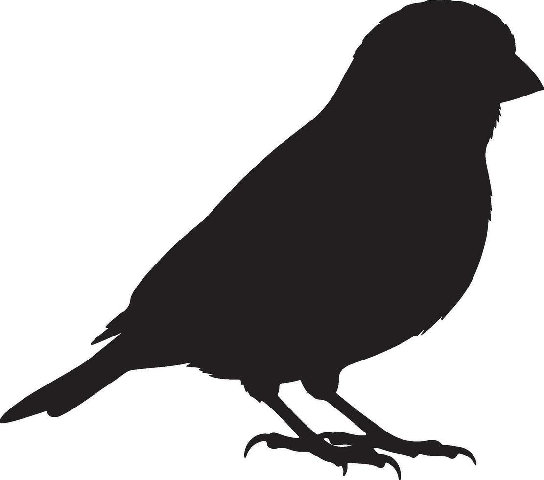Canary solid black silhouette vector