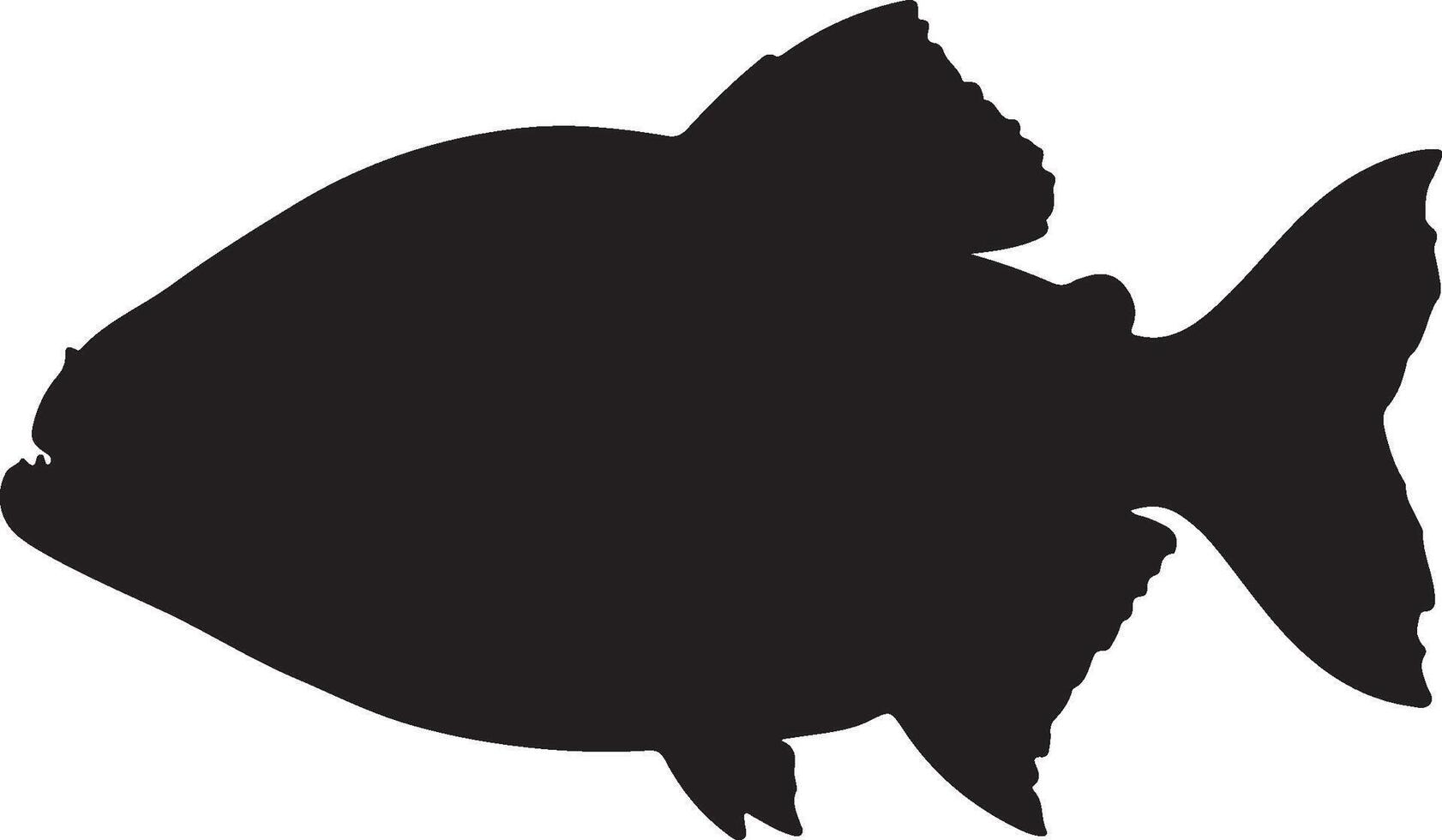 Red Bellied Piranha Solid Black Silhouette vector