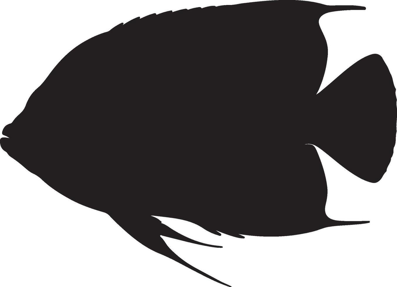 Queen Angelfish solid black silhouette vector