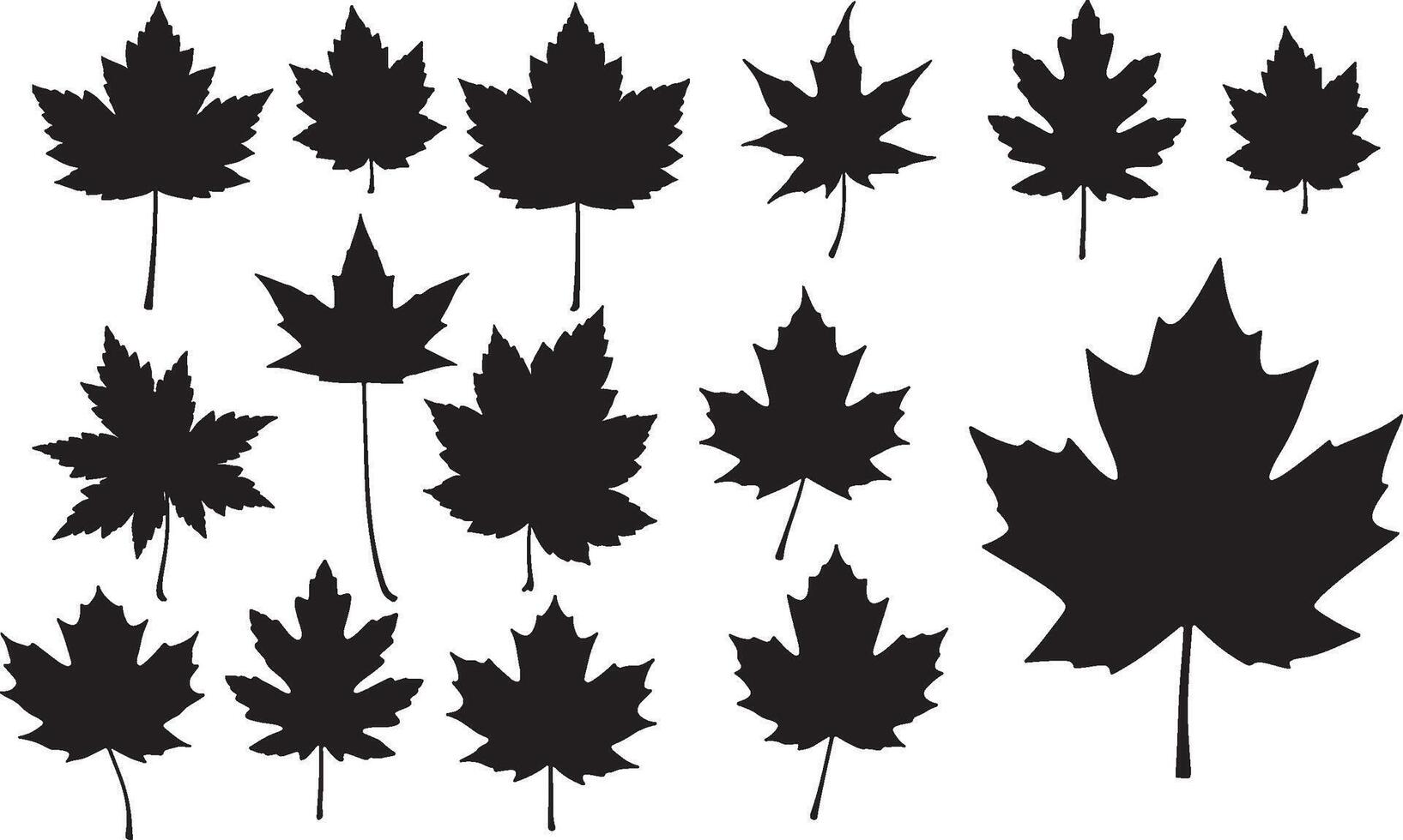 Canadian Maple Leaf Solid Black Silhouette Collection vector