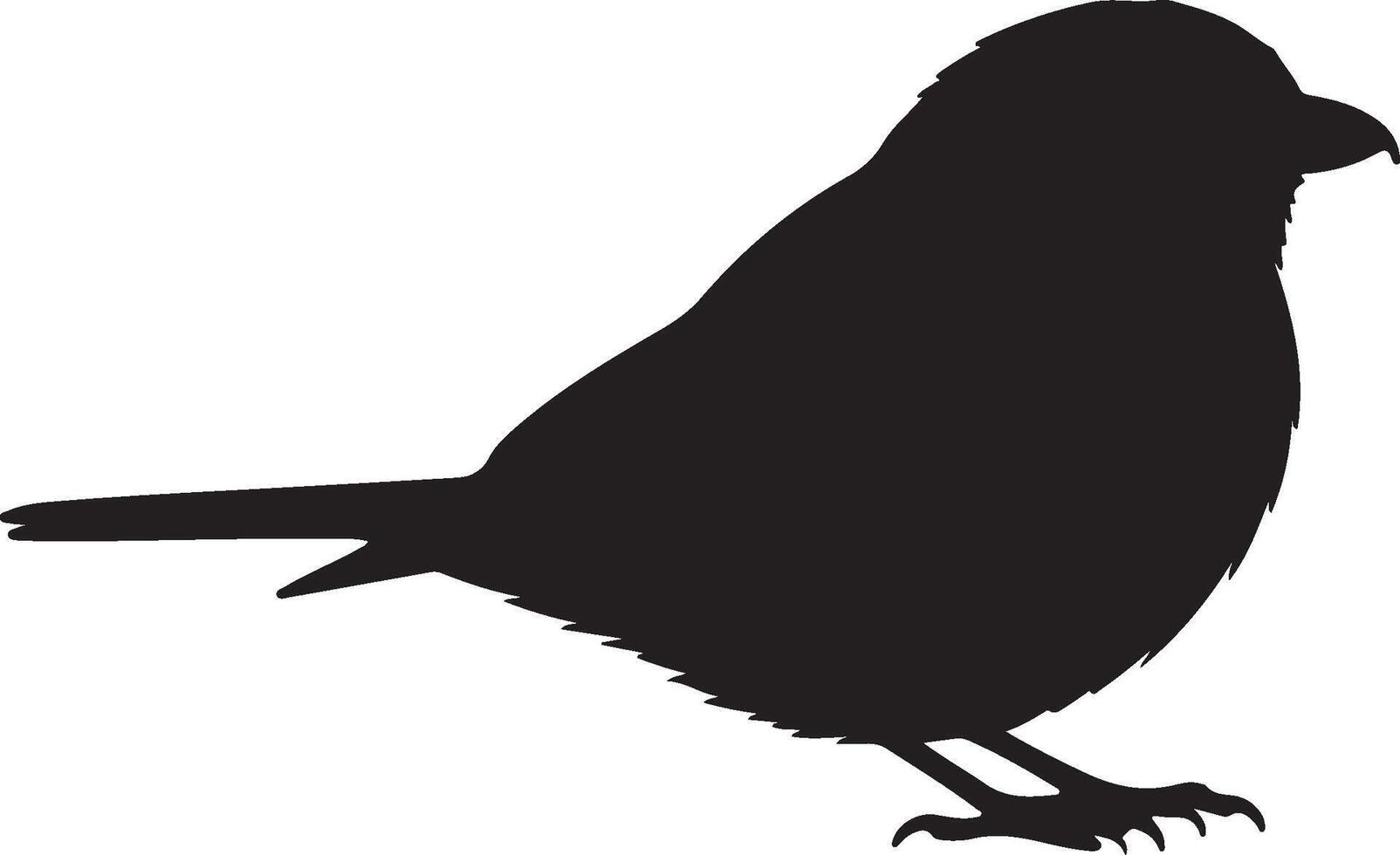 Red backed Shrike solid black silhouette vector