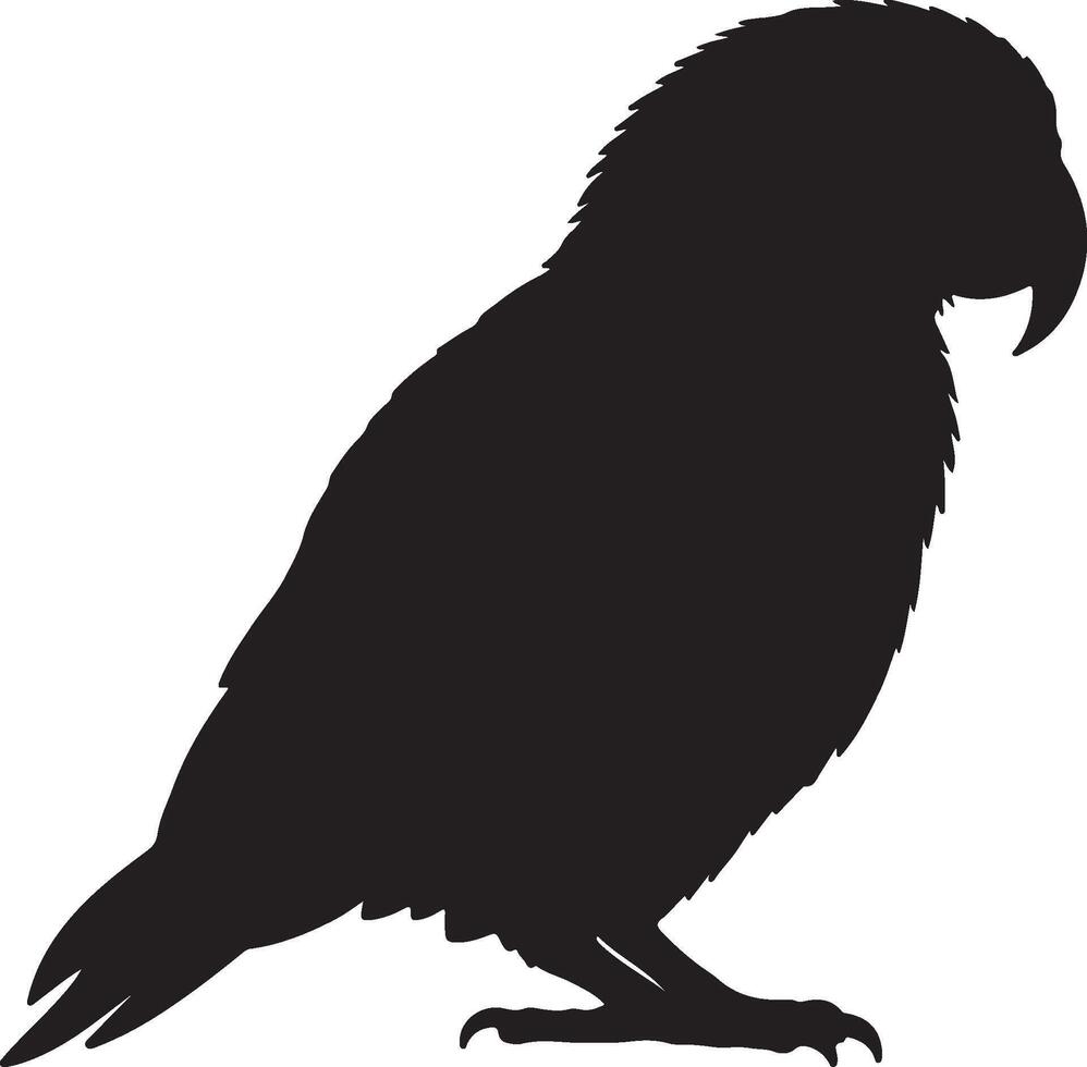 Kea solid black silhouette vector