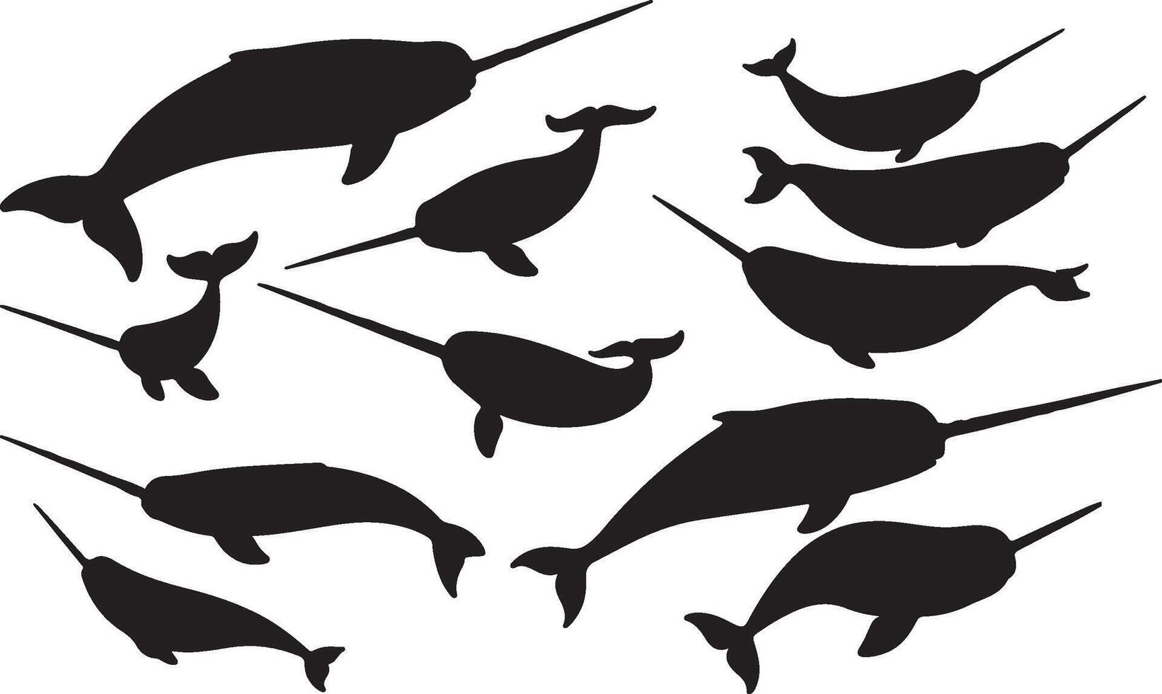 Narwhal silhouette set collection vector