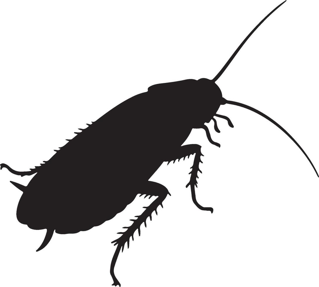Cockroach solid black silhouette vector