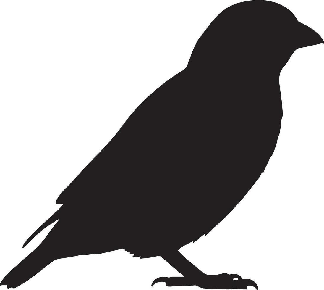 Cowbird solid black silhouette vector