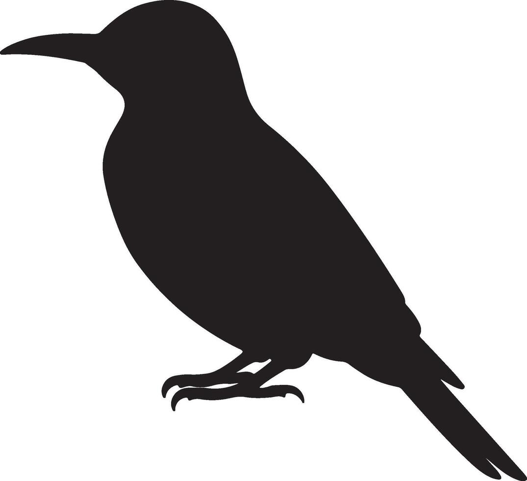Yellow Shafted Flicker Solid Black Silhouette vector
