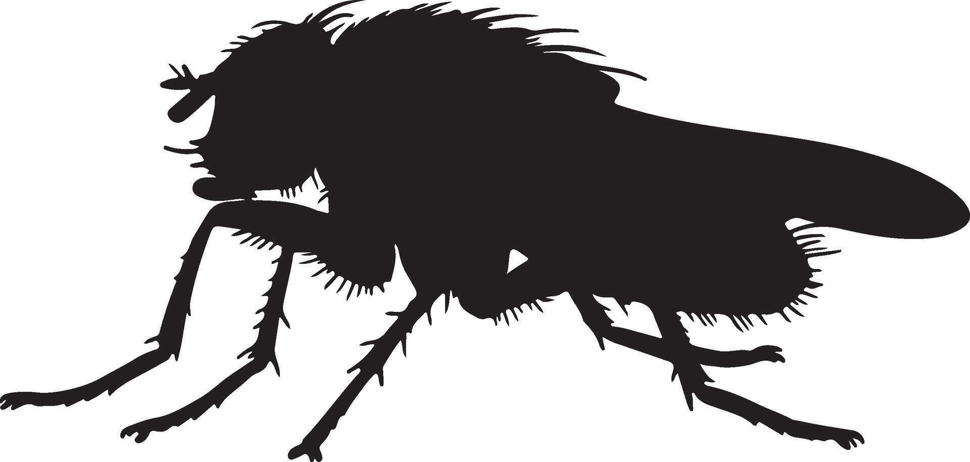 Hessian Fly solid black silhouette vector