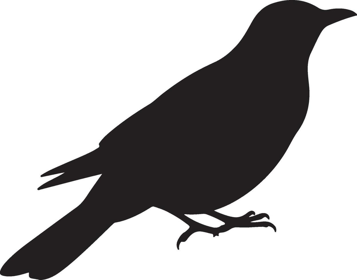 Thrush Medium Bird Solid Black Silhouette vector