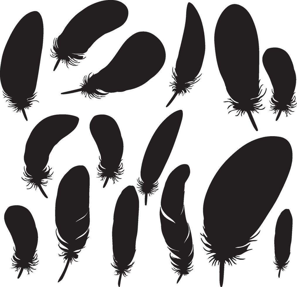 Feathers solid black silhouette vector