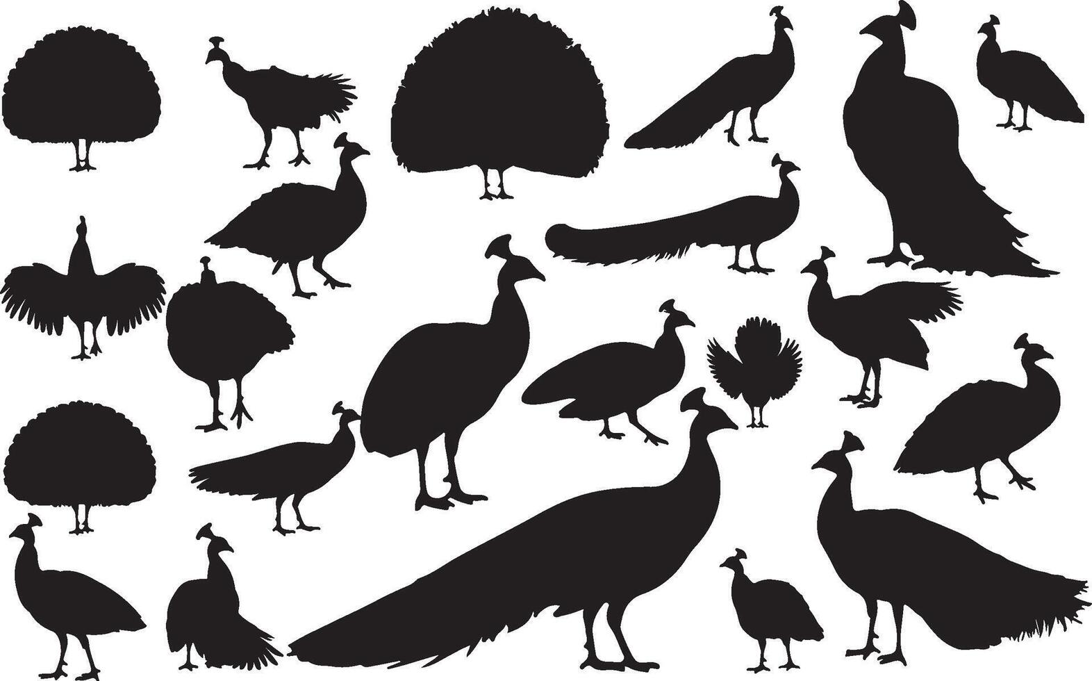Peacock Side View Silhouettes collection vector
