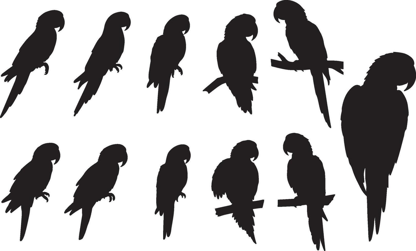 Parrot silhouettes illustration vector