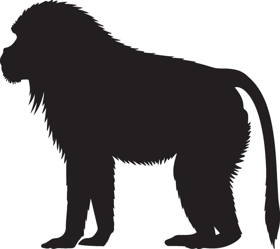 Gelada solid black silhouette vector