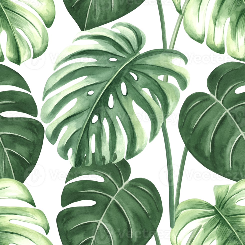 Watercolor tropical palm leaves illustration for summer rainforest designs. Botanical seamless pattern of monstera. Hand drawn jungle plants in realistic style. Lush greenery exotic foliage background png