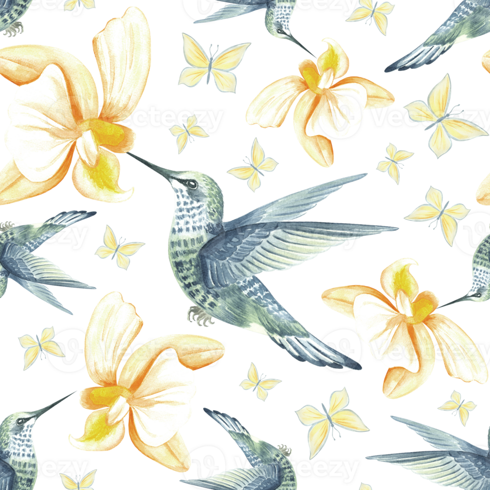 Flying hummingbird with yellow orchid flowers and butterflies watercolor illustration. Hand drawn seamless pattern with tropical phalaenopsis and bird. Botanical template for jungle exotic background. png