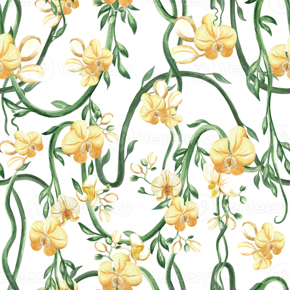 Orchid flowers and tropical liana with green leaves watercolor illustration isolated. Seamless pattern of blooming climbing plant for jungle design. Hand drawn yellow phalaenopsis in realistic style. png