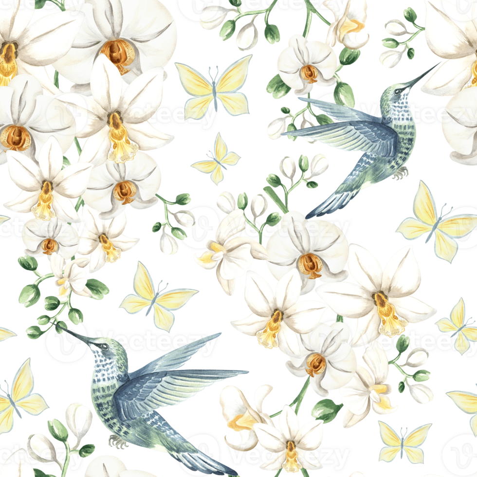 Flying hummingbird with white orchid flowers and butterflies watercolor illustration. Hand drawn seamless pattern with tropical phalaenopsis and bird. Botanical template for jungle exotic background. png