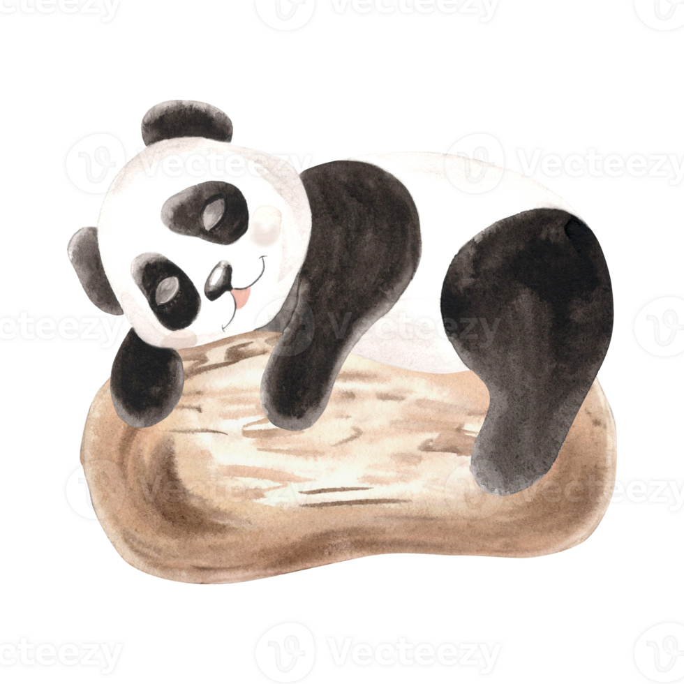 Cute baby panda sleeping on big rounded stone watercolor illustration for kids design. Hand drawn isolated funny little black and white bear. Smiling adorable animal character for children theme. png