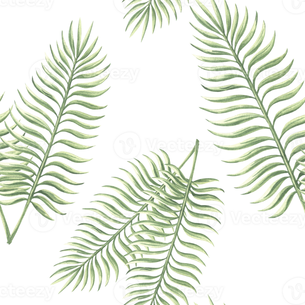 Watercolor tropical palm leaves illustration for summer rainforest designs. Botanical seamless pattern. Hand drawn large jungle plants in realistic style. Lush greenery exotic foliage background. png
