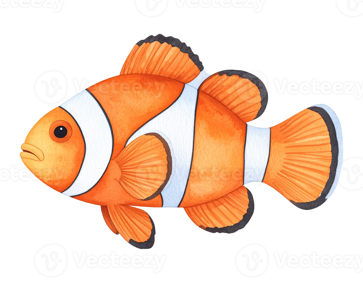 Realistic clownfish painting in bright tropical colors. png