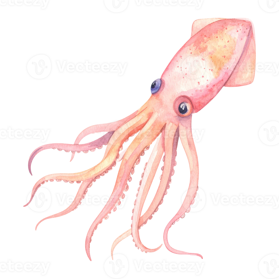 Watercolor illustration of a graceful octopus with flowing tentacles. png