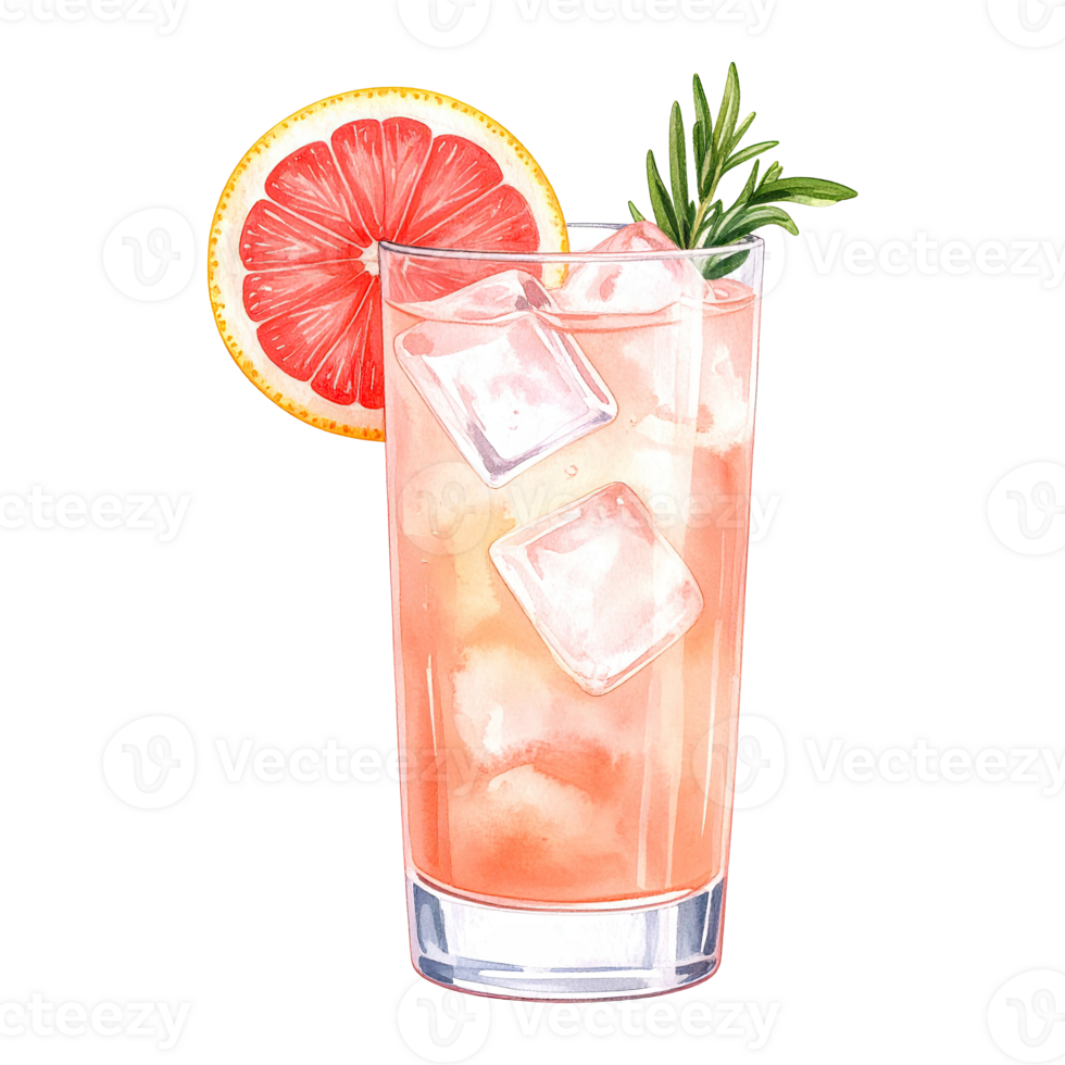 Hand-painted Paloma drink in a tall glass with citrus garnish. png