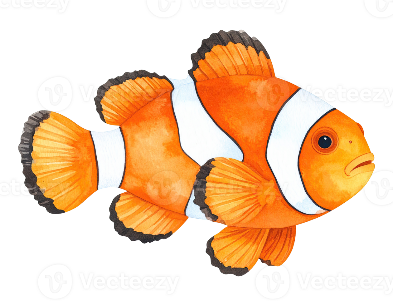 Vibrant orange clownfish artwork in watercolor style. png