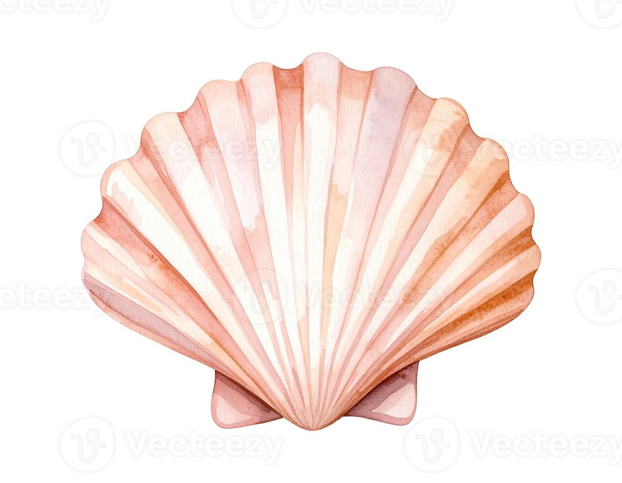 Marine-themed shellfish illustration with natural colors. png